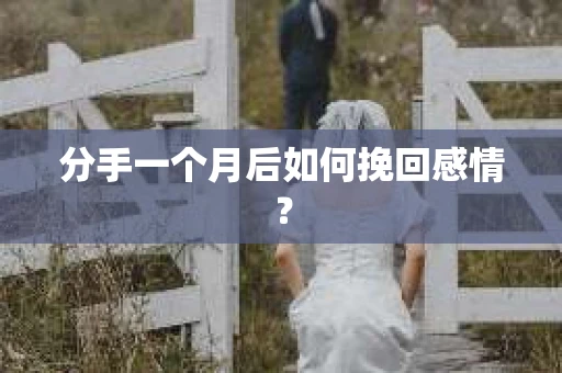 分手一个月后如何挽回感情？
