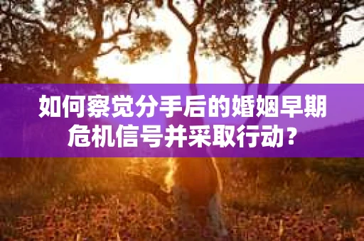 如何察觉分手后的婚姻早期危机信号并采取行动？