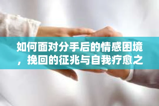 如何面对分手后的情感困境，挽回的征兆与自我疗愈之路