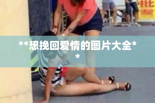 **想挽回爱情的图片大全**