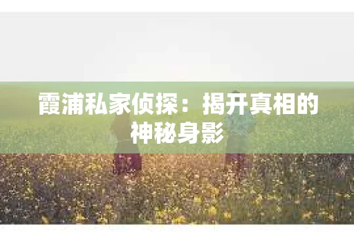 霞浦私家侦探：揭开真相的神秘身影
