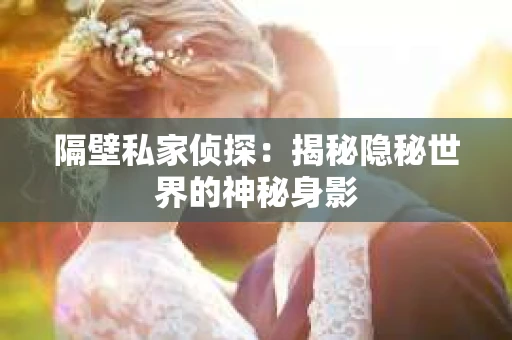隔壁私家侦探：揭秘隐秘世界的神秘身影