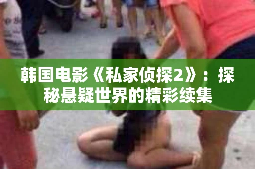 韩国电影《私家侦探2》：探秘悬疑世界的精彩续集