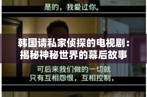 韩国请私家侦探的电视剧：揭秘神秘世界的幕后故事