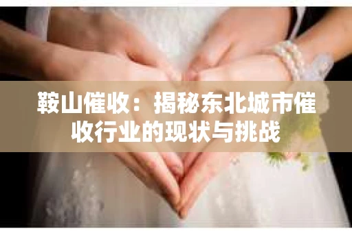 鞍山催收：揭秘东北城市催收行业的现状与挑战