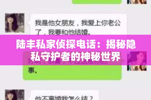 陆丰私家侦探电话：揭秘隐私守护者的神秘世界