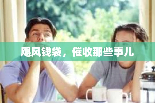 飓风钱袋，催收那些事儿