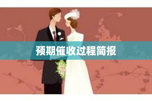 预期催收过程简报