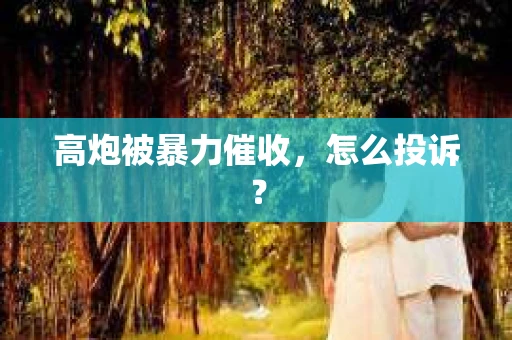 高炮被暴力催收，怎么投诉？