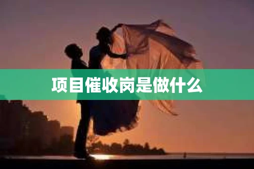 项目催收岗是做什么