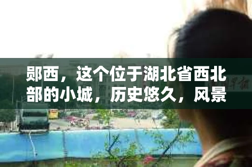 郧西，这个位于湖北省西北部的小城，历史悠久，风景秀丽。但在这里，你是否曾想过，如果有一天需要私家侦探的帮助，郧西有没有这样的服务呢？今天，我就来和大家聊聊这个话题。
