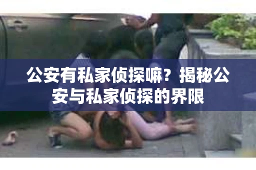 公安有私家侦探嘛？揭秘公安与私家侦探的界限