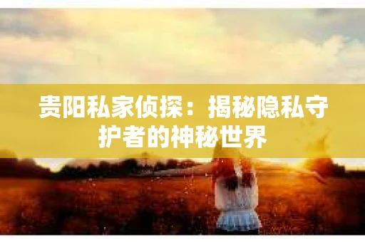 贵阳私家侦探：揭秘隐私守护者的神秘世界