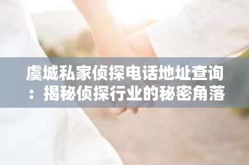 虞城私家侦探电话地址查询：揭秘侦探行业的秘密角落