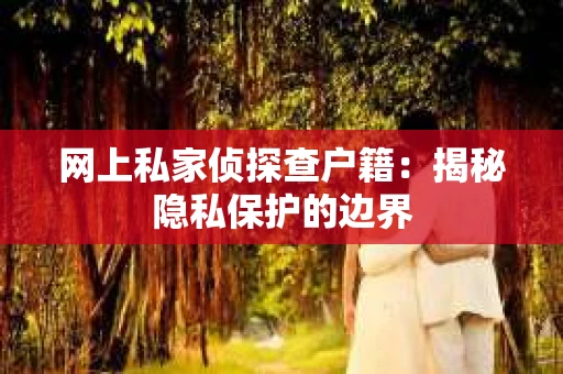 网上私家侦探查户籍：揭秘隐私保护的边界