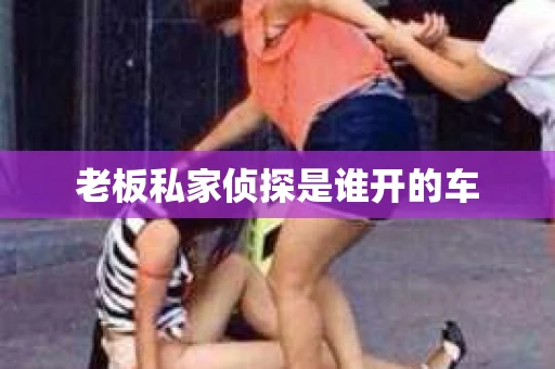 老板私家侦探是谁开的车