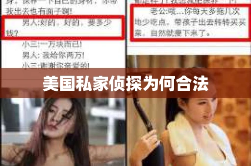 美国私家侦探为何合法