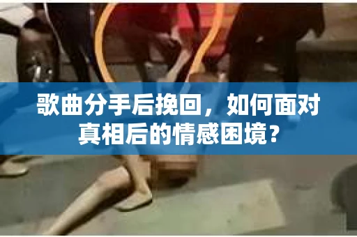 歌曲分手后挽回，如何面对真相后的情感困境？