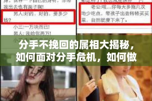 分手不挽回的属相大揭秘，如何面对分手危机，如何做出明智决策？